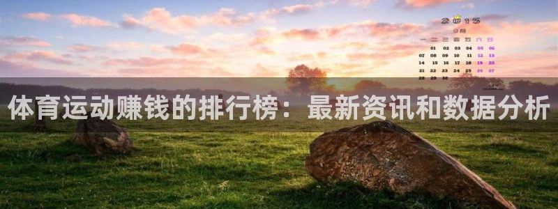 oety欧亿体育官网下载平台APP:体育运动赚钱的排行榜:最