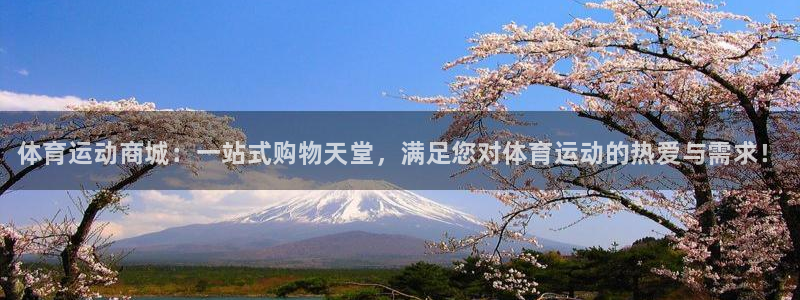 欧亿体育官方正版app集团官网网址:体育运动商城:一站式购物