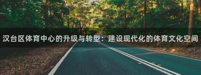 欧亿体育官方正版app科技:汉台区体育中心的升级与转型:建设